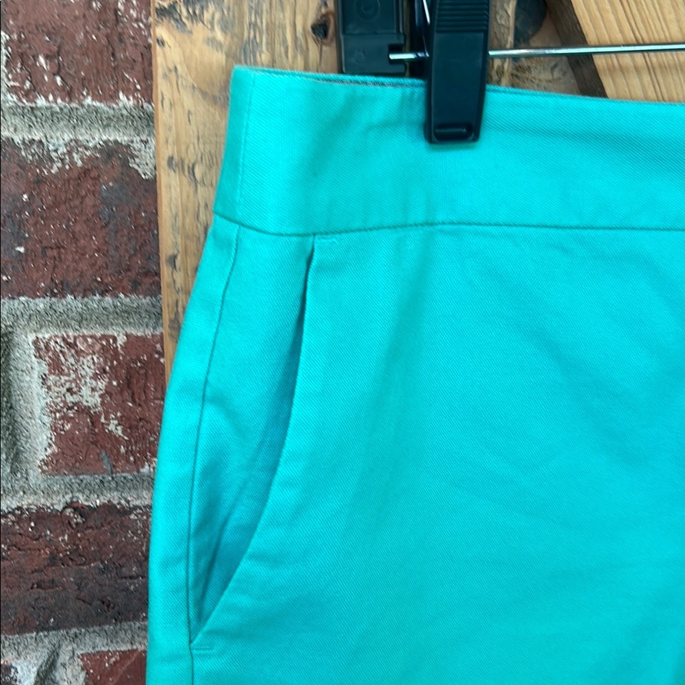 Banana Republic Shorts with Flat Front Design - Picture 3 of 7